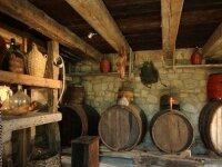 Der Agrotourismus