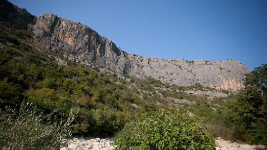 cikola-4