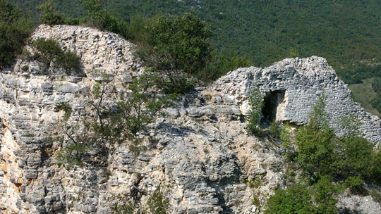 bogocin-5