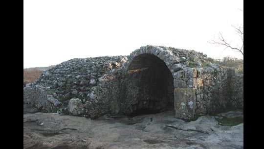 arauzona-6