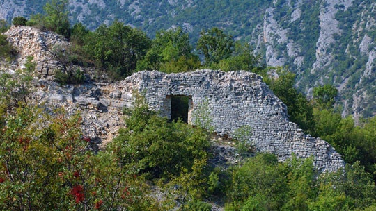 bogocin-7