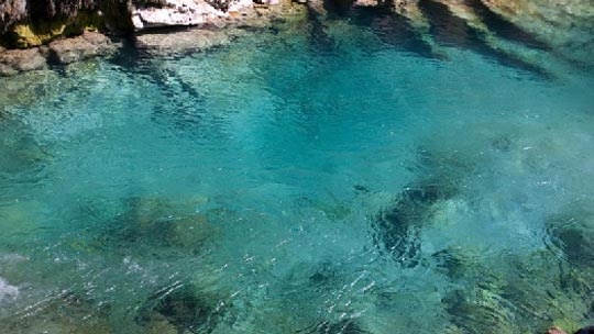 krka-1