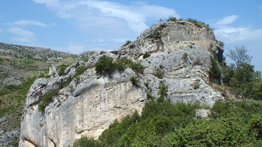 kamicak-1