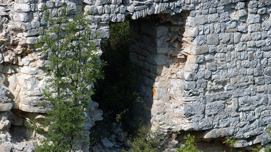 bogocin-6