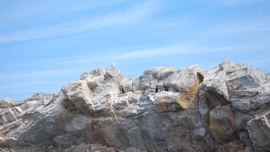 kornati-18