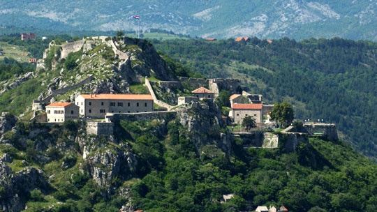 knin1