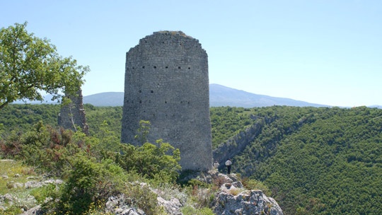 trosenj-2
