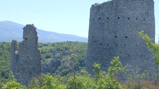 trosenj-3