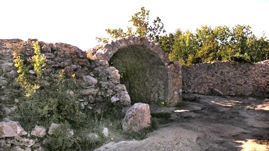 arauzona-2