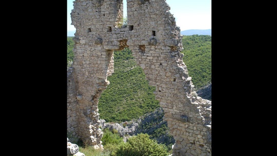 trosenj-7