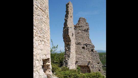 trosenj-6