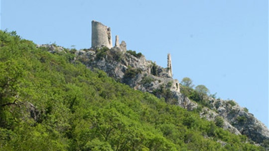 trosenj-5