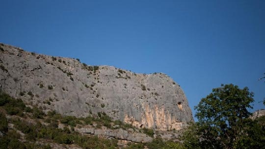 cikola-1