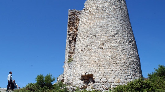 trosenj-1