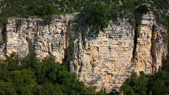 bogocin-4
