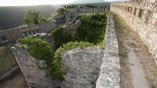 knin-10