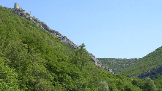 trosenj-4
