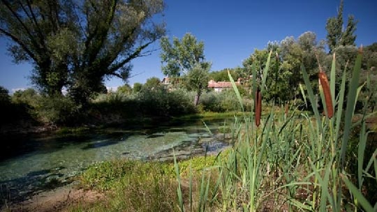 krka-6