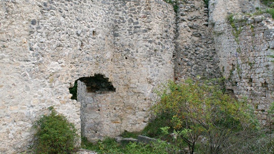 necven3