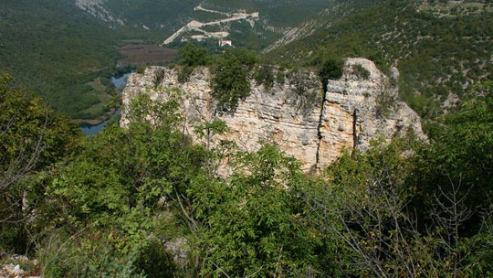 bogocin-2
